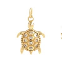 Lucky Turtle Charm
