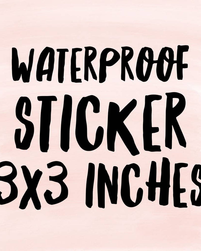 Pickleball Stickers Pickleball Gifts for Women Accessories