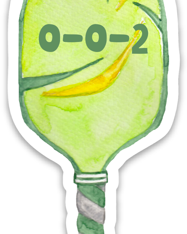 Pickleball Stickers Pickleball Gifts Pickle ball Accessories