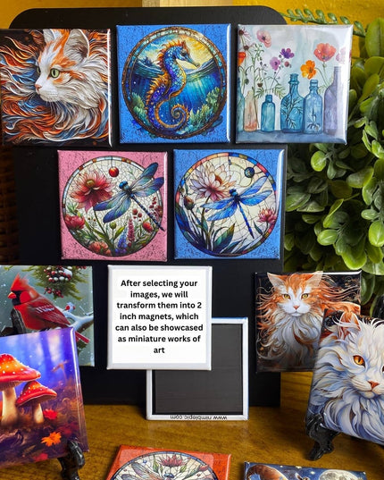 Magnets - Freedom Gallery