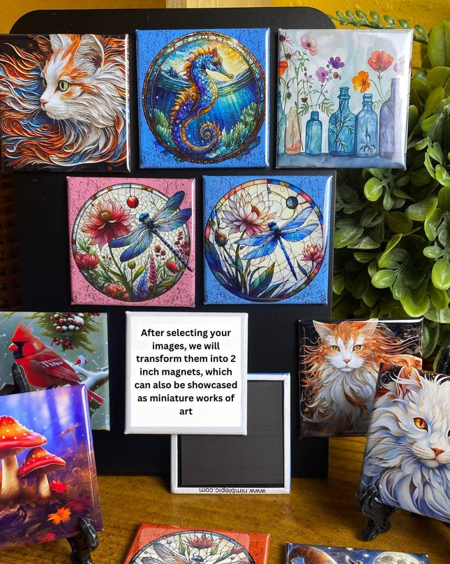 Magnets - Freedom Gallery