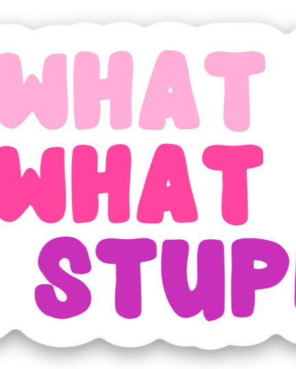 Funny Stickers for Women Snarky Gifts Sassy Vinyl Stickers