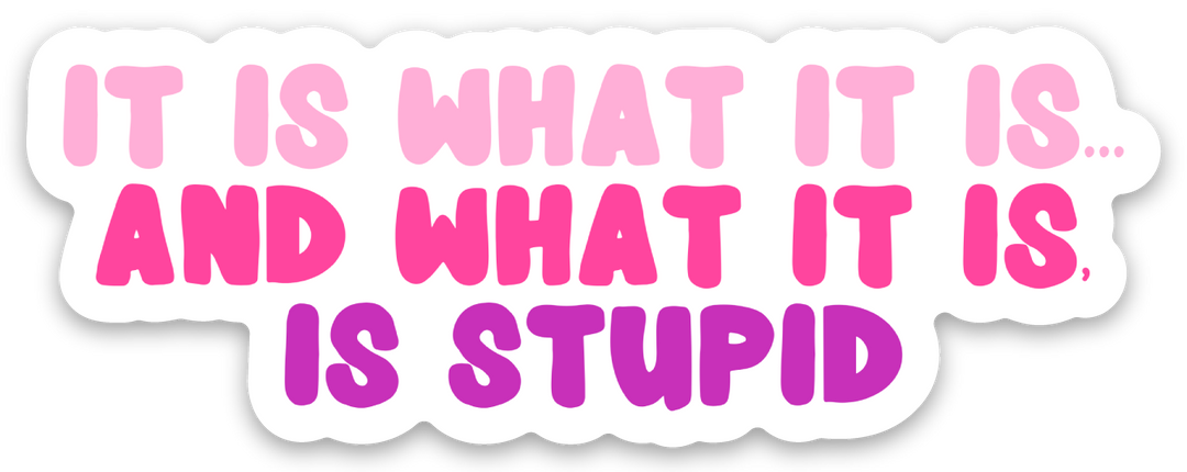 Funny Stickers for Women Snarky Gifts Sassy Vinyl Stickers