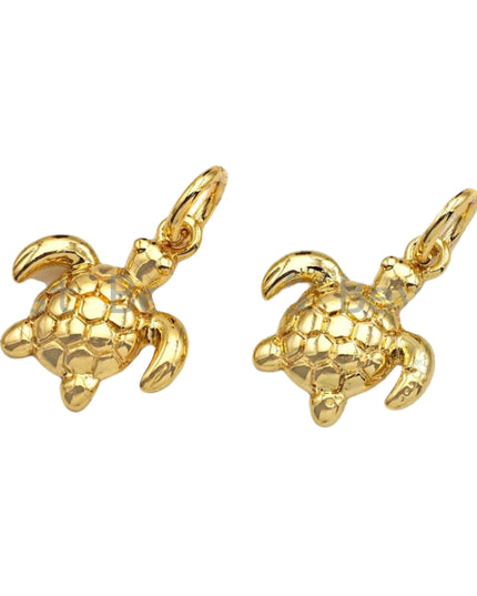 Lucky Turtle Charm