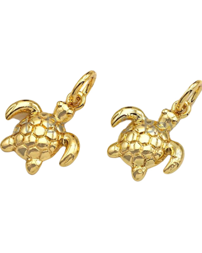 Lucky Turtle Charm