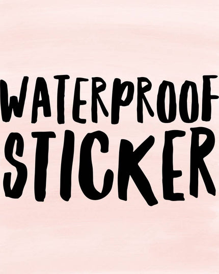Pickleball Stickers Pickleball Gifts Pickle ball Accessories