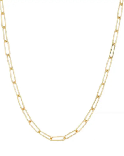 Carla Chain 18k Gold Plated Paper Clip Chain ~ Stainless