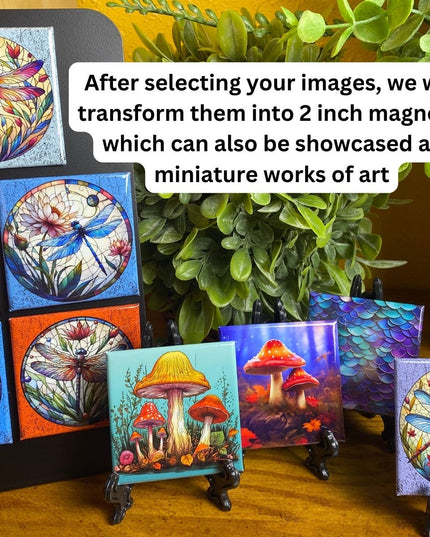 Magnets - Freedom Gallery