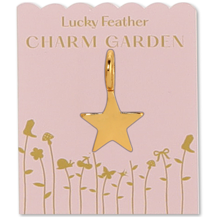 Star Charm