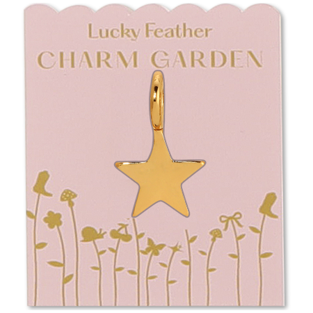 Star Charm