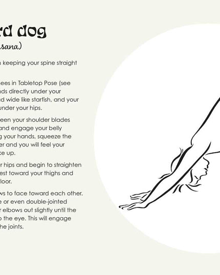 Little Book of Yoga by Christine Burke