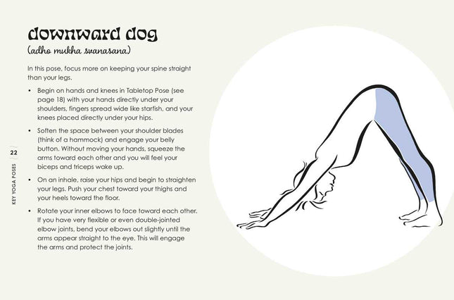 Little Book of Yoga by Christine Burke