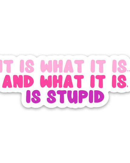 Funny Stickers for Women Snarky Gifts Sassy Vinyl Stickers