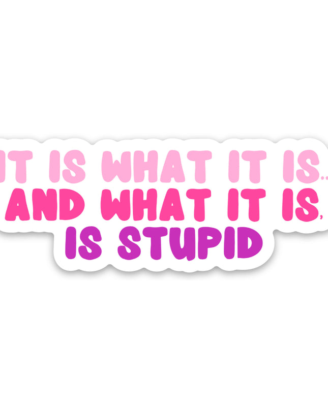 Funny Stickers for Women Snarky Gifts Sassy Vinyl Stickers