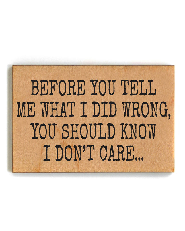 Before You Tell Me What I Did Wrong Funny Magnets